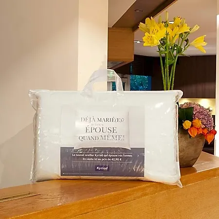 Kyriad Angers Sud Ponts-de-ce Hotel 3*