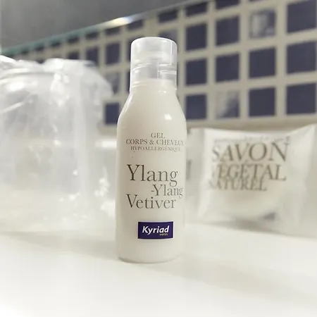 Kyriad Angers Sud Ponts-de-cé 3*