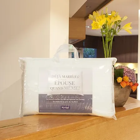 Hotel Kyriad Angers Sud Ponts-de-ce Les Ponts-de-Ce