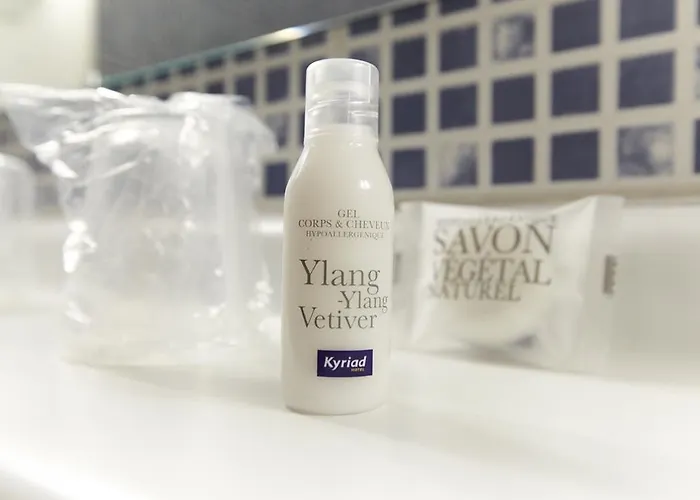 Kyriad Angers Sud Ponts-de-ce 3*